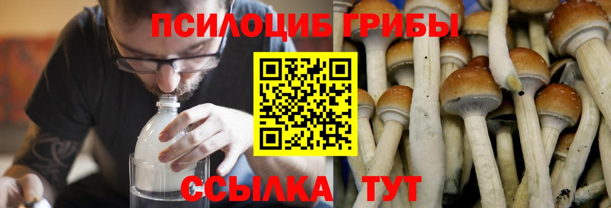 Домодедово  Галлюциногенные грибы мухоморы  Вход с VPN  магазин продажи   Галлюциногенные грибы ЛСД 